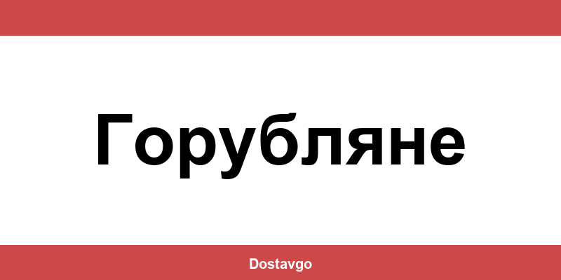 Телефон и офиси на Спиди в Горубляне (Gorublyane)