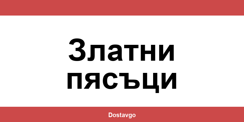 Телефон и офиси на Спиди в Златни пясъци (Zlatni pyasatsi)