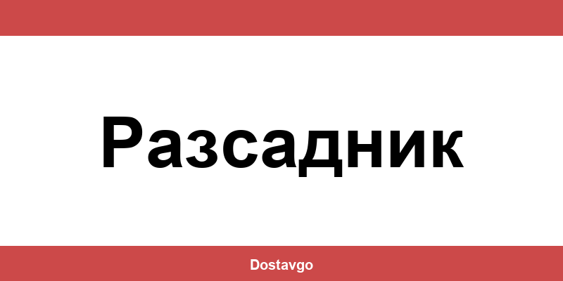 Телефон и офиси на Спиди в Разсадник (Rassadnik)