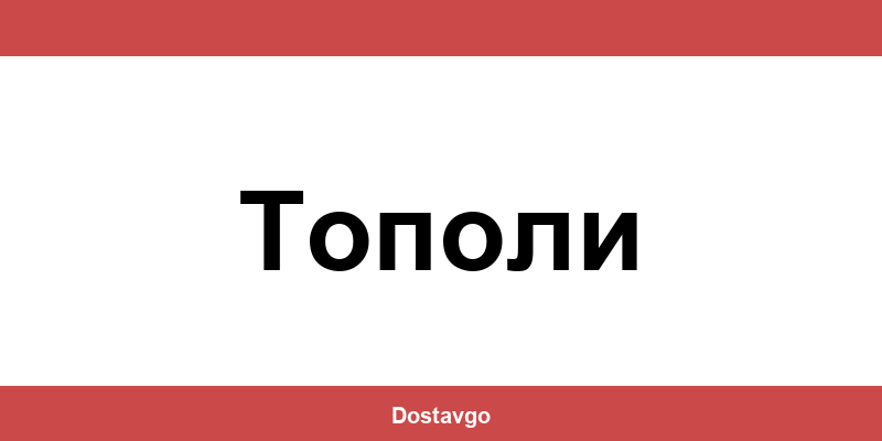 Телефон и офиси на Спиди в Тополи (Topoli)