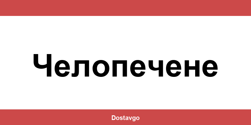 Телефон и офиси на Спиди в Челопечене (Chelopéchene)